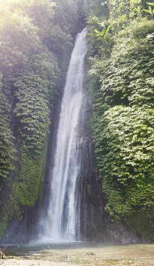 Panorama şelale orman Bali Endonezya