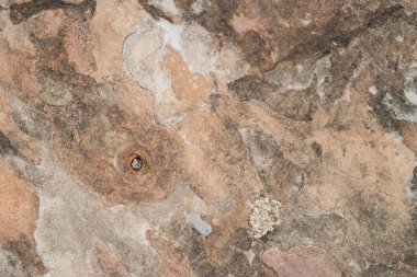 soyut, desen doku doğal taş grani