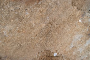 soyut, desen doku doğal taş grani