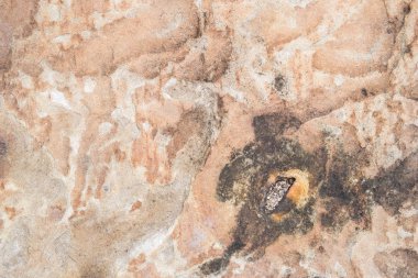 soyut, desen doku doğal taş grani