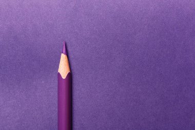 Mor bir arka planda mor kalem uzanıyor.