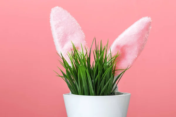 Sticking rabbit ears from a flower pot with green grass. Easter concept — ストック写真