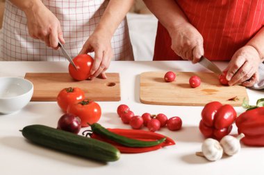Yetişkin bir kız ve yaşlı bir anne birlikte yemek pişiriyorlar. 