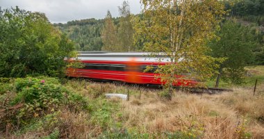 Ormanın içinden geçen kırmızı bir tren..