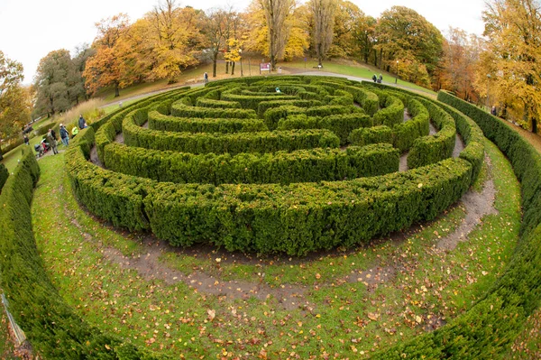 Vue Grand Angle Labyrinthe Haies Dans Parc — Photo