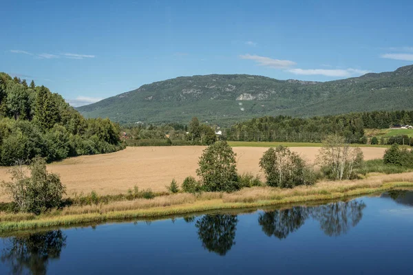 Pohled Žlutá Pole Řeky — Stock fotografie