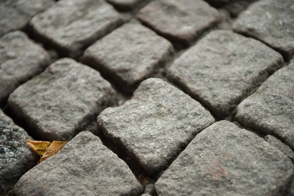 Empedrado Gris Frío Una Calle Ciudad Con Algunas Hojas Atrapadas — Foto de Stock