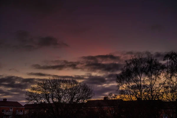 Beautiful Sunset Red Clouds High Sky Trees — Stock Photo, Image