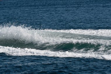 Küçük, hızlı bir sürat teknesinin uyanışı.