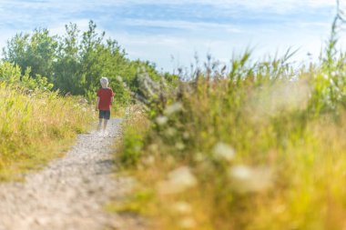 Yazın toprak yolda yürüyen bir çocuk. Yeşil ve sarı çimenler ve çalılar ve mavi, bulutlu bir gökyüzü. 