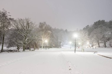 Karlı bir parkta bir gece. Slottsskogen, Göteborg, İsveç.