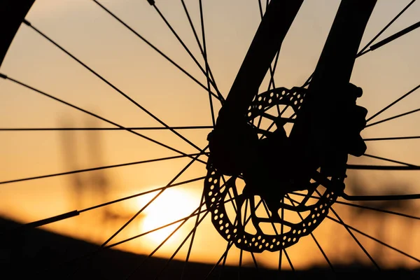 Perfil Una Rueda Bicicleta Con Frenos Disco Atardecer — Foto de Stock
