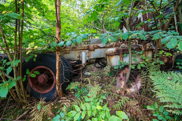 Rahmen Rad Und Andere Komponenten Eines Lastwagens Wald Versteckt — Stockfoto