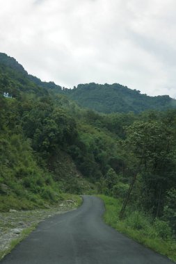 Hindistan 'ın Sikkim dağlarındaki ormandan geçen bir yol.