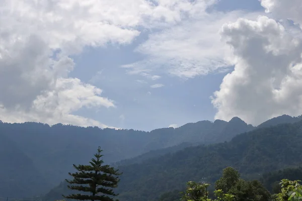 Berglandschap Bedekt Met Groene Bomen Planten Met Zware Bewolkte Lucht — Stockfoto