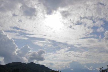 Yeşil ağaçlarla kaplı dağ manzarası ve Hindistan 'ın Sikkim şehrinde ağır bulutlu gökyüzü olan bitkiler