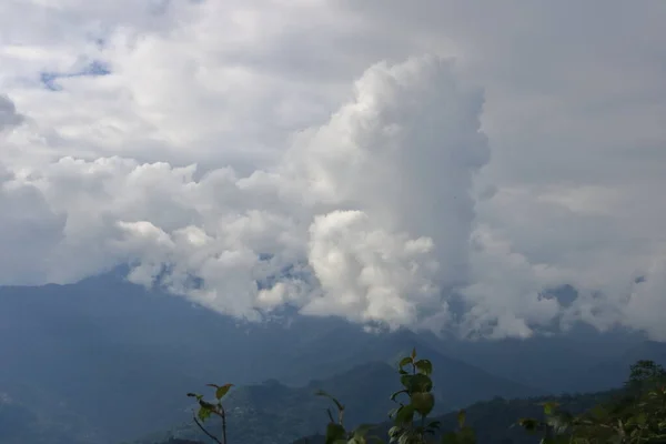 インド シキム州の濃い曇りの空を持つ緑の木々や植物で覆われた山の風景 — ストック写真