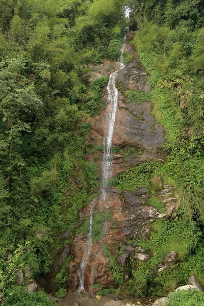 Kleine Waterval Omringd Door Groene Planten Sikkim India — Stockfoto