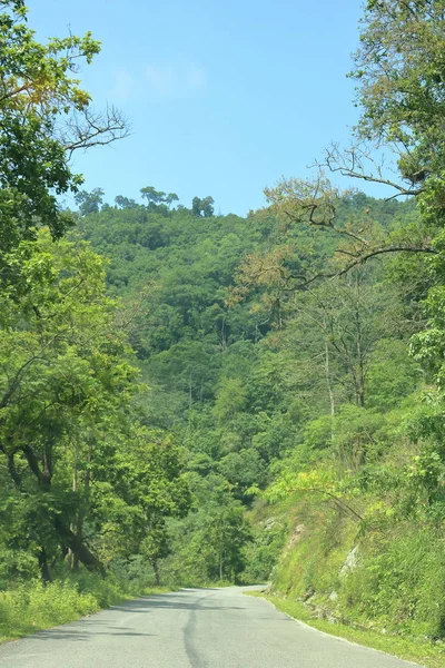 インドのシキムの森を通って山の上の道路 — ストック写真