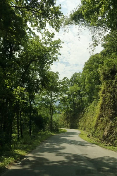インドのシキムの森を通って山の上の道路 — ストック写真