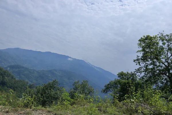 Berglandschap Een Zonnige Dag Met Groene Planten Bomen Sikkim India — Stockfoto