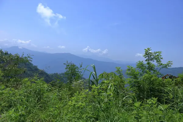 Horská Krajina Slunečného Dne Zelenými Rostlinami Stromy Sikkim Indie — Stock fotografie