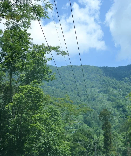 Paisagem Montanha Dia Ensolarado Com Plantas Árvores Verdes Sikkim Índia — Fotografia de Stock