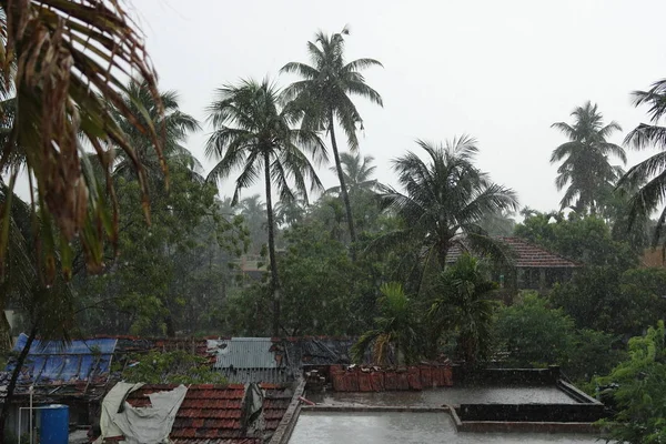 村子里大雨倾盆 棕榈树密布 天空阴云密布 — 图库照片