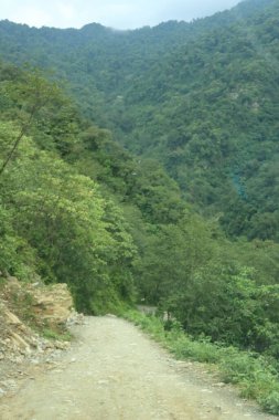 Hindistan 'ın Sikkim Ormanı' ndan geçen bir dağ yolu.