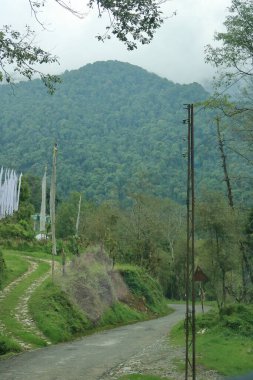 Ravangla Sikkim, Hindistan 'da bulutlu gökyüzü ve yeşil ormanlı dağ manzarası