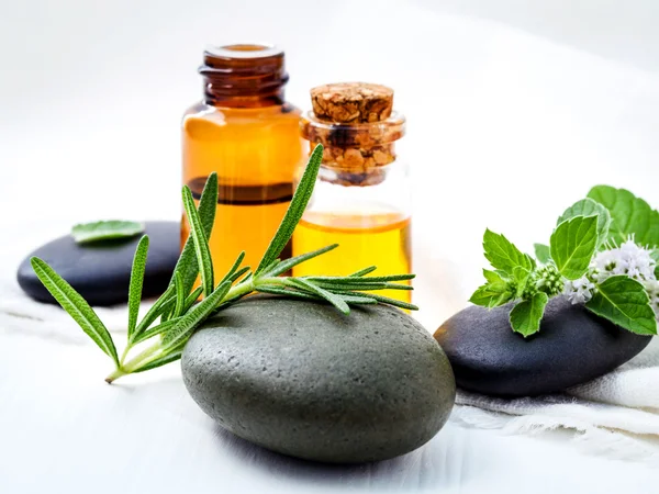 Fresh rosemary and fresh peppermint on spa stone with essential — Stock Photo, Image