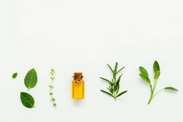Láhev esenciálního oleje čerstvé bylinné šalvěj, rozmarýn, tymián — Stock fotografie