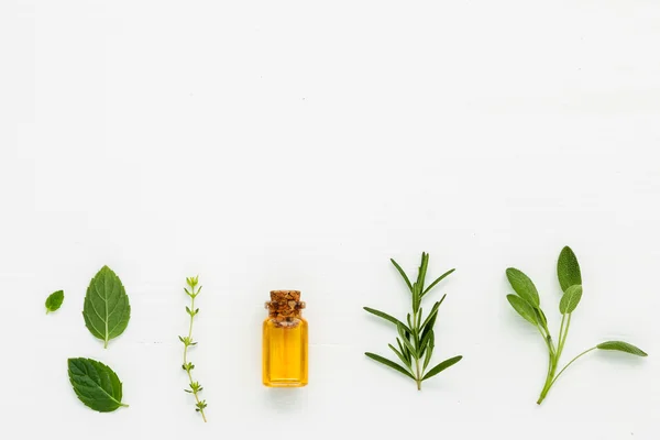Пляшка ефірної олії зі свіжим трав'яним шавлієм, розмарином, чебрецем — стокове фото