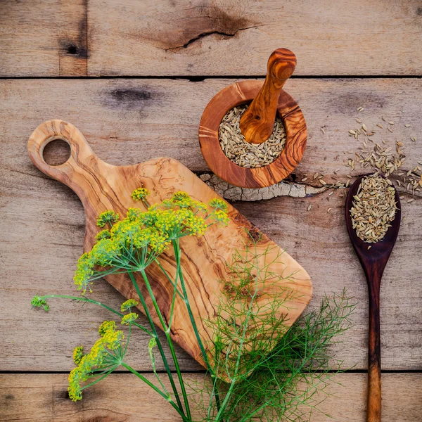 Close up blossoming branch of fennel and dried fennel seeds on r — Stock Photo, Image