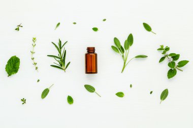Taze bitki adaçayı, biberiye, limon uçucu yağ şişe 