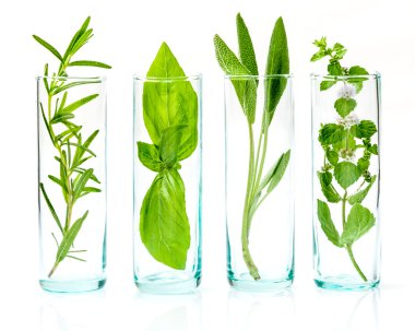 Uçucu yağlar taze otlar ile şişe kapatın. Adaçayı, gül