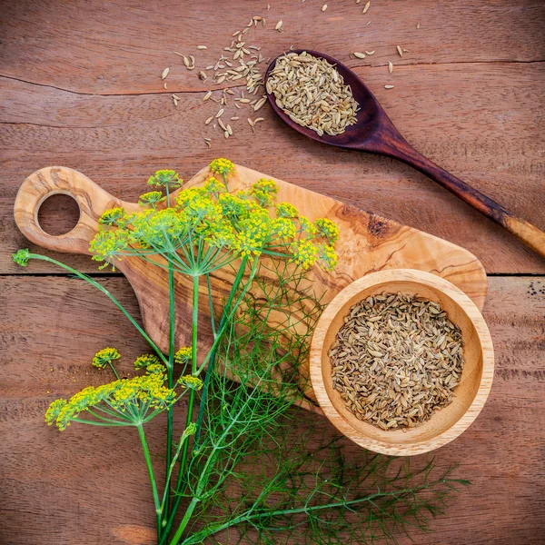 Close up blossoming branch of fennel and dried fennel seeds on r — Stock Photo, Image