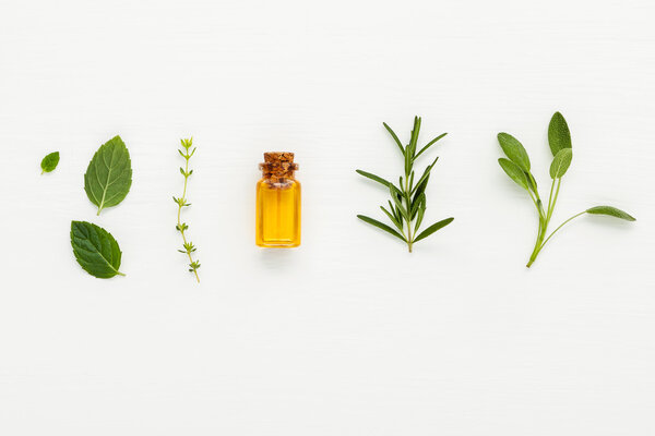 Bottle of essential oil with  fresh herbal sage, rosemary, thyme