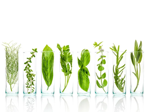 Uçucu yağlar taze otlar ile şişe kapatın. Adaçayı, gül