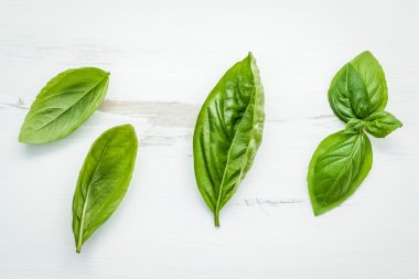 Beyaz eski püskü ahşap adam taze tatlı yeşil fesleğen yaprağı