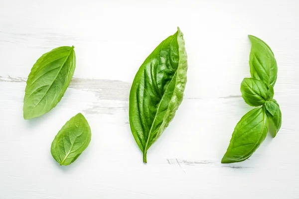 Folhas de manjericão verde doce fresco no fundo de madeira branco gasto — Fotografia de Stock