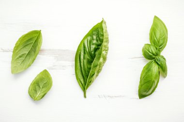 Beyaz eski püskü ahşap adam taze tatlı yeşil fesleğen yaprağı