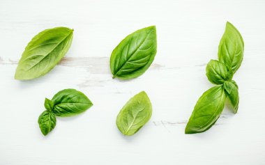 Beyaz eski püskü ahşap adam taze tatlı yeşil fesleğen yaprağı