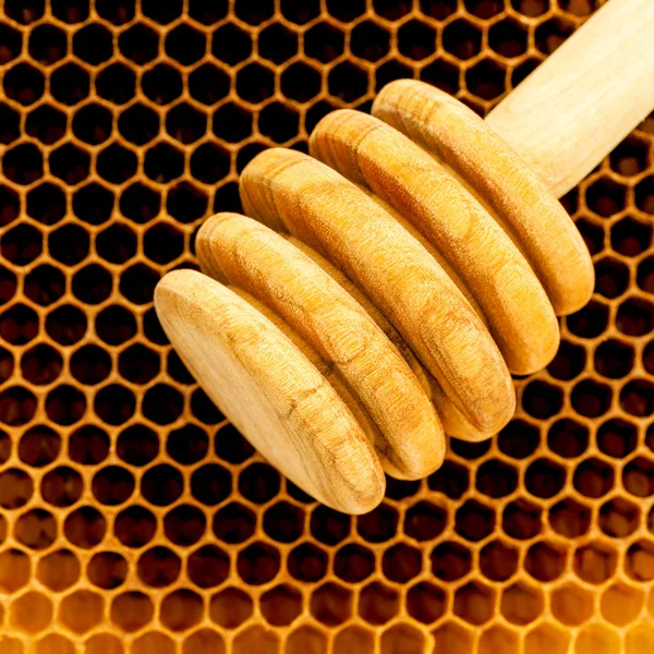 Gros plan de nid d'abeilles biologiques crus. Nouvellement tiré miel abeille honeycom — Photo