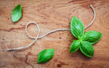 Taze fesleğen eski püskü teak ahşap arka plan üzerinde bırakır. Tatlı b