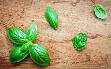 Taze fesleğen eski püskü teak ahşap arka plan üzerinde bırakır. Tatlı b