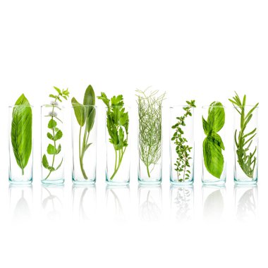 Aromatik otlar şişeleri kapatın. Adaçayı, biberiye, fesleğen yaprakları, limon kekik, maydanoz dereotu ve nane şube beyaz arka plan üzerinde izole. Gıda katkı maddeleri ve baharat kavramı.