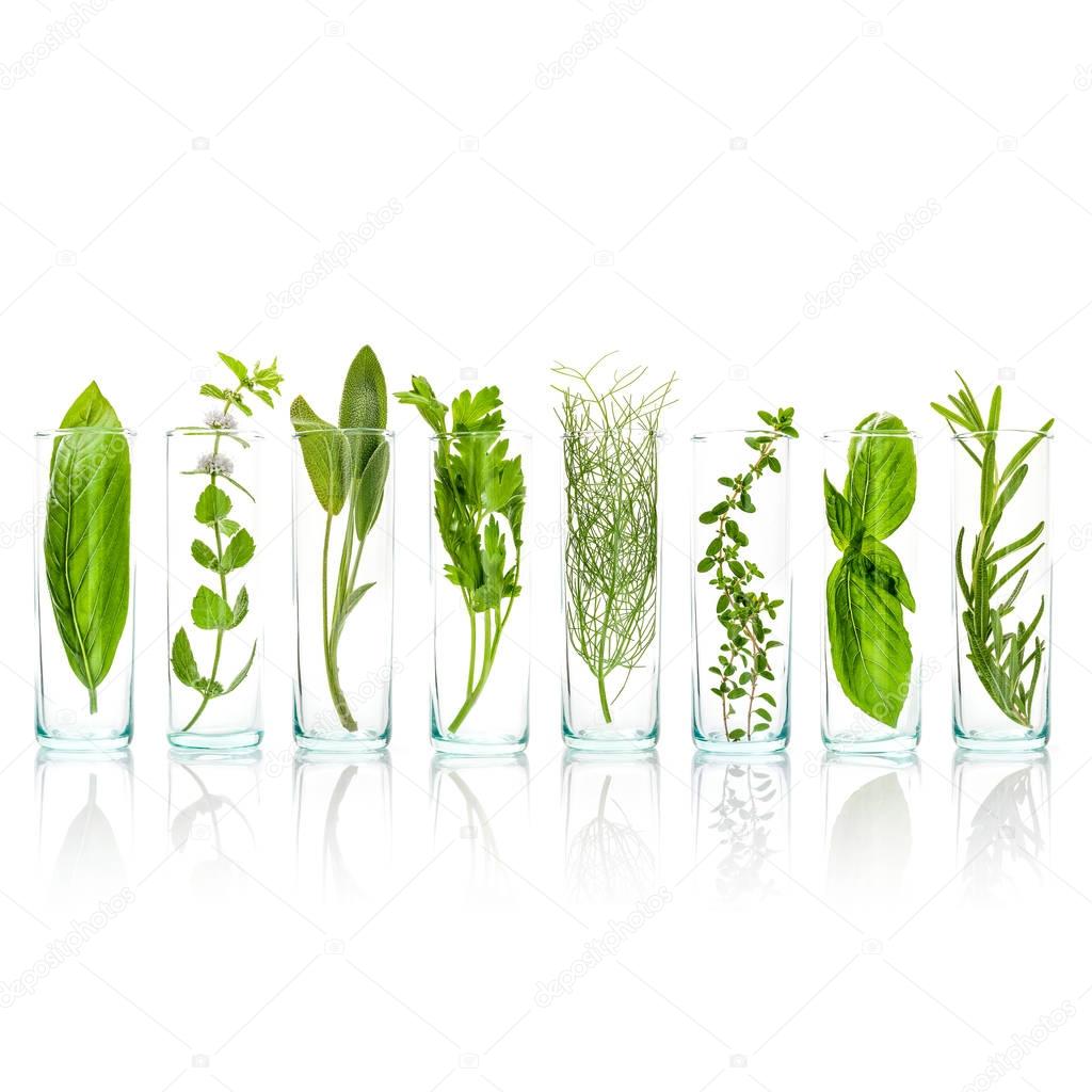 Close Up bottles of aromatic herbs . Sage, rosemary, sweet basil leaves ,lemon thyme ,parsley dill and peppermint branch isolated on white background. Food ingredients and seasoning concept.