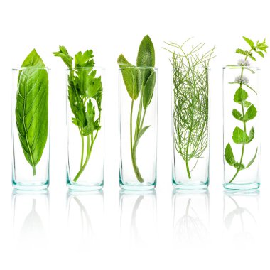 Taze aromatik otlar şişeleri kapatın. Taze adaçayı dalı, s