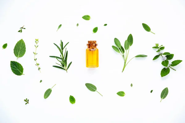 Bottiglia di olio essenziale con salvia fresca alle erbe, rosmarino, limone — Foto Stock